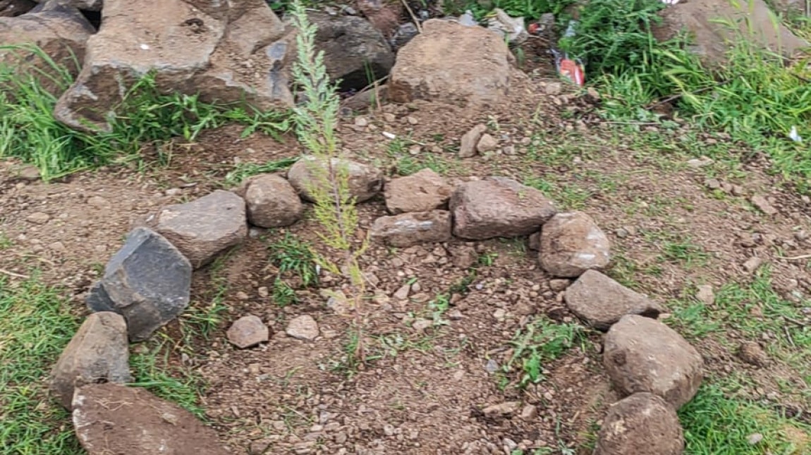 Öğrencilerimizle Fidan Dikme Etkinliği Gerçekleştirdik.